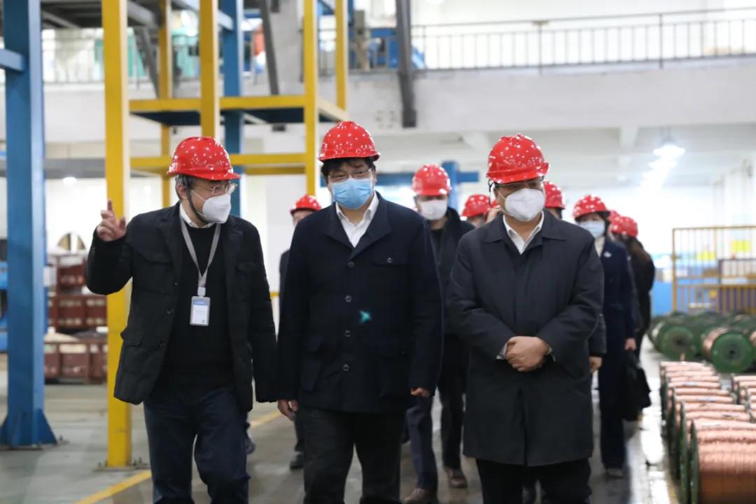 省委組織部副部長胡旭陽一行赴浙江中大元通特種電纜有限公司開展 “三服務(wù)”活動 調(diào)研指導(dǎo)疫情防控和復(fù)工復(fù)產(chǎn)